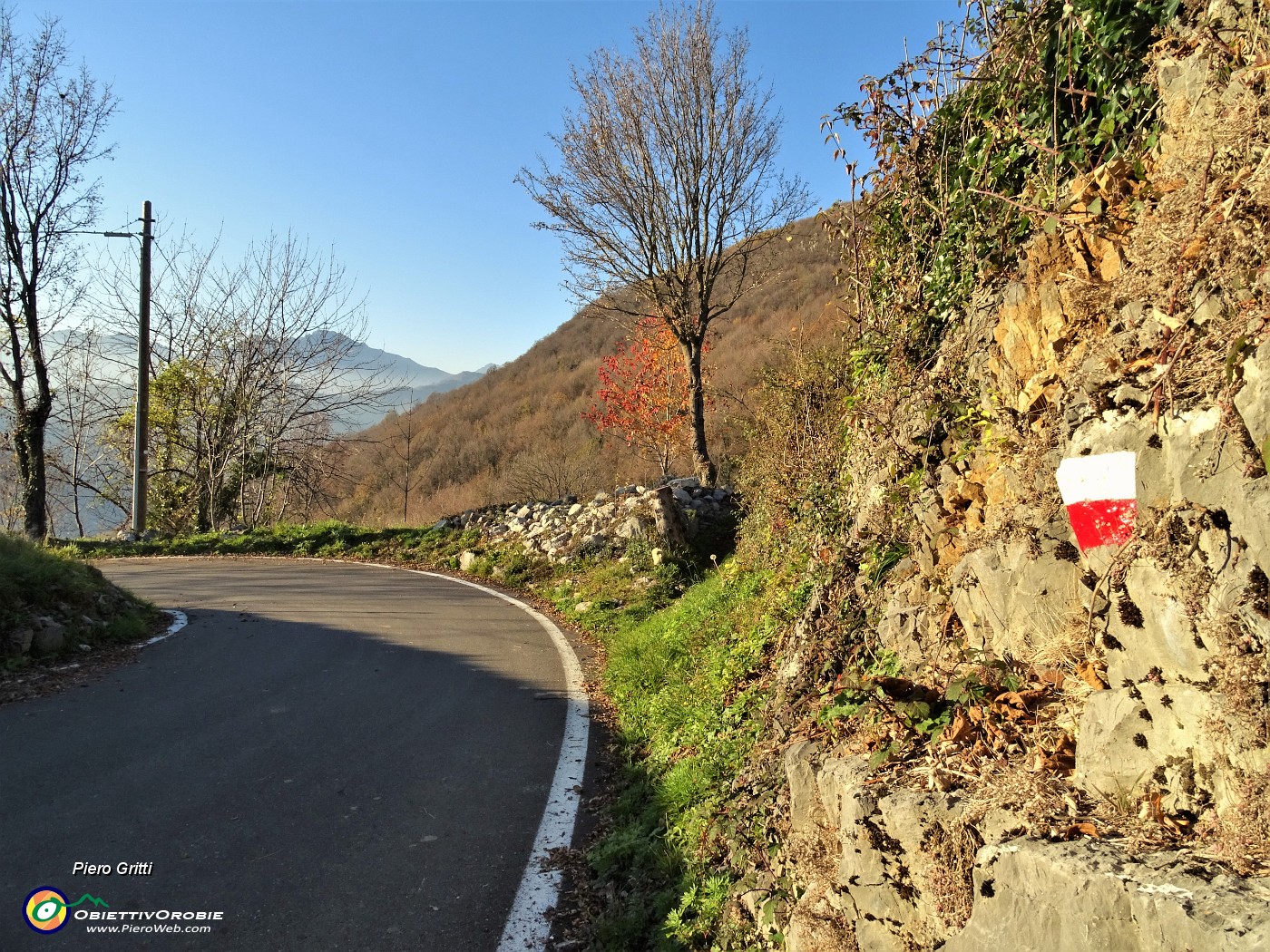 83 Scesa la scaletta il sentiero 505B prosegue a sx su strada asfaltata per buon tratto.JPG